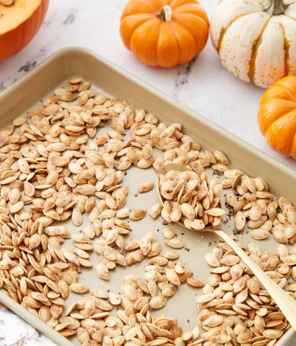 A sheet pan of roasted pumpkin seeds with a spoonful in the pan. Small pumpkins scattered around.