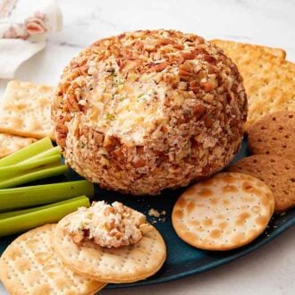 A plate with a cheese ball with crackers all around with one cracker with some cheese spread on it.