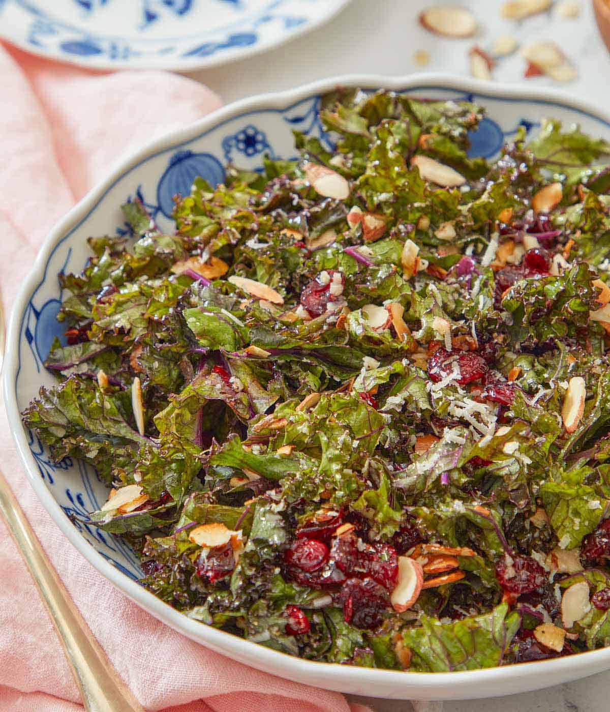 Close up of a large plate of kale salad with dried cranberries and fresh parmesan grated on top.