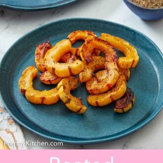Pinterest graphic of a plate with a serving of roasted delicata squash.
