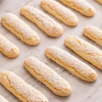 Multiple ladyfingers in two rows on a flat surface with powdered sugar on top of the ladyfingers.