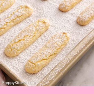Pinterest graphic of a sheet pan of freshly baked ladyfingers with a generous dusting of powdered sugar.