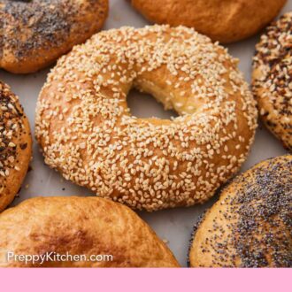 Pinterest graphic of multiple bagels in a single layer with the middle bagel covered in sesame seeds.