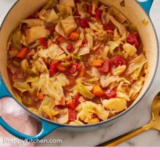 Pinterest graphic of an overhead view of a pot of cabbage soup with some parsley and a ladle off to the side.