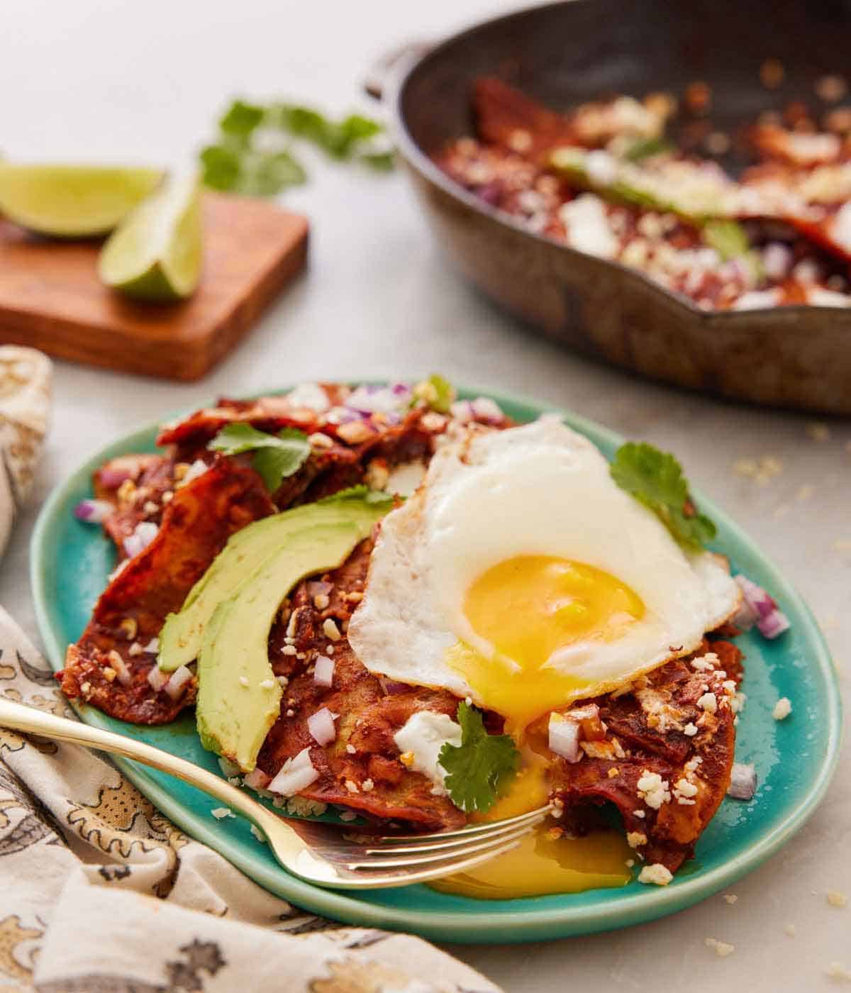 A plate with a serving of chilaquiles topped with a fried egg, sliced avocado, and cilantro.