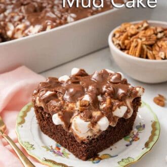 Pinterest graphic of a plate with a square slice of Mississippi mud cake with the rest of the cake in the baking dish in the background beside a bowl of pecans.
