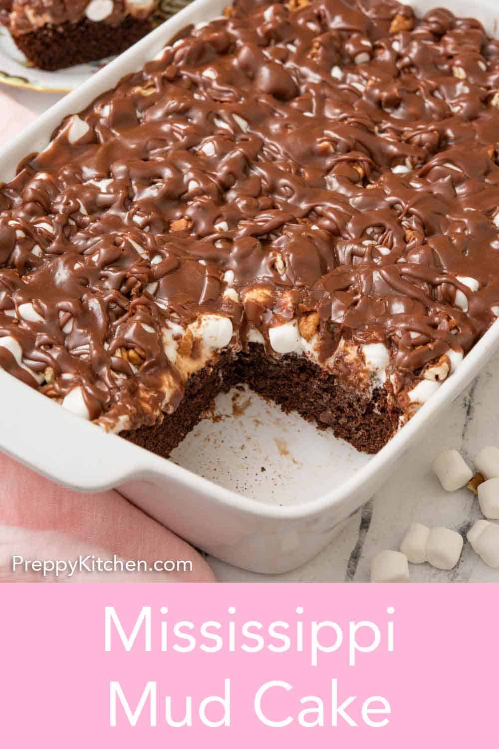 Mississippi Mud Cake - Preppy Kitchen