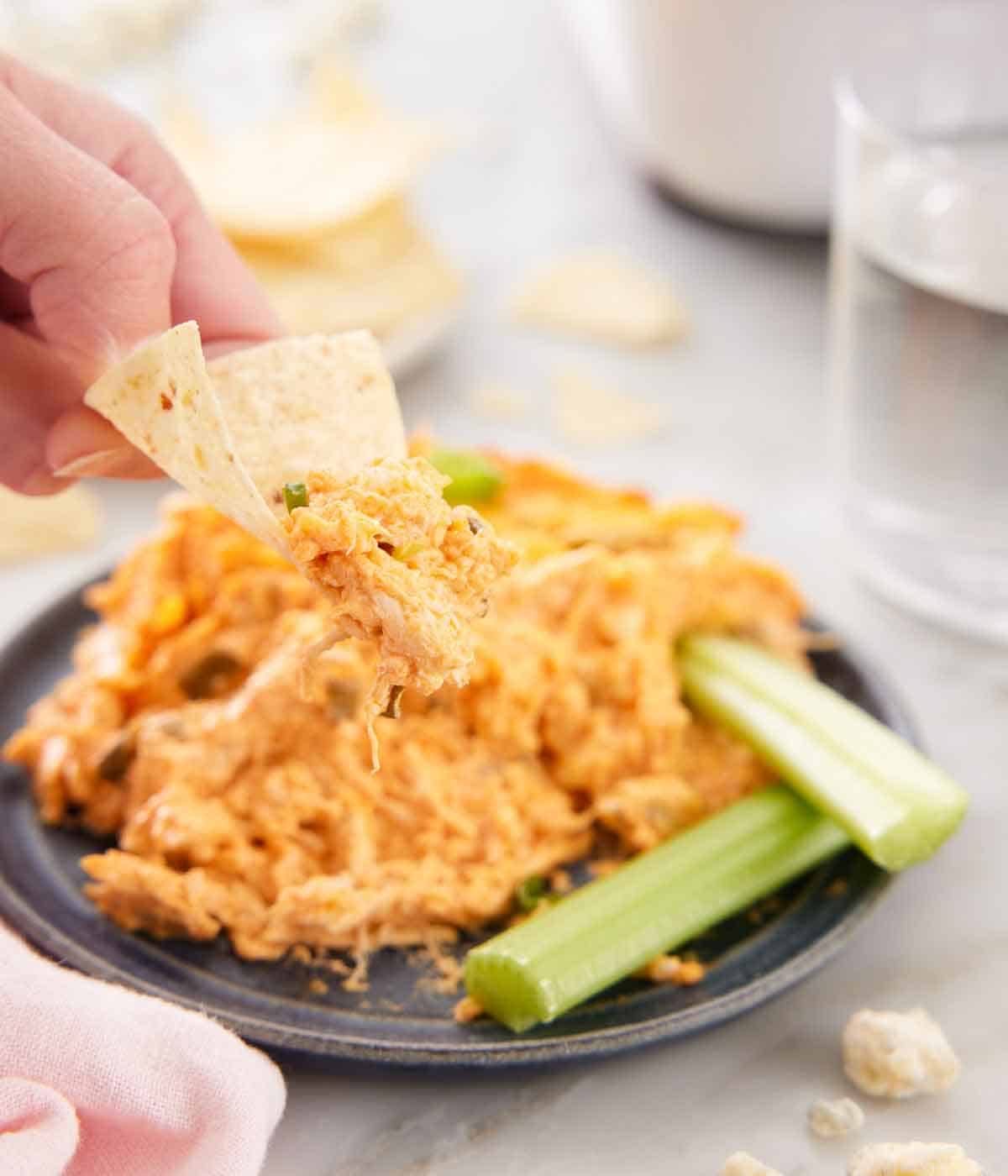 A tortilla chip held up with a scoop of buffalo chicken dip with a plate out of focus in the background.