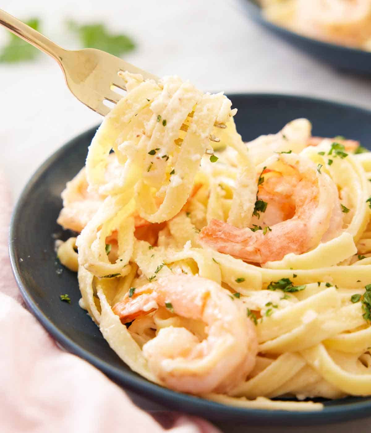 A fork lifting out shrimp Alfredo from a plate.