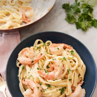 Pinterest graphic of a plate of shrimp Alfredo with some parsley and skillet of pasta in the background.