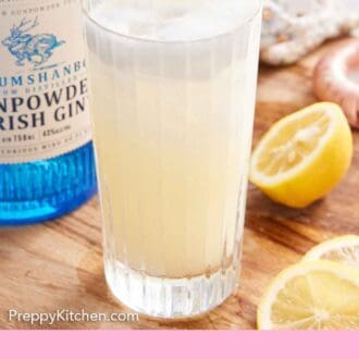 Pinterest graphic of a glass of Gin Fizz with a lemon slice and a bottle of gin and cut lemons surrounding it.