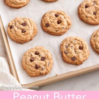 Pinterest graphic of multiple peanut butter chocolate chip cookies on a lined sheet pan.