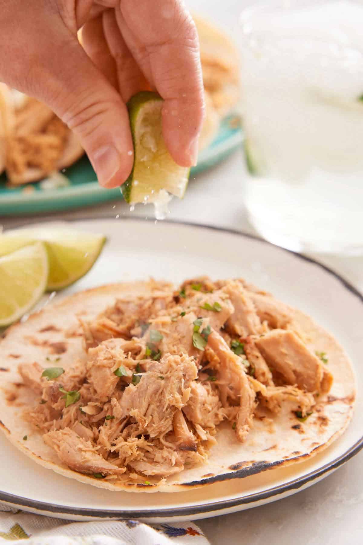 A lime wedge squeezed over slow cooker carnitas on a tortilla on a plate.