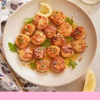 Pinterest graphic of an overhead view seared scallops in a plate with chopped parsley and sliced lemon.