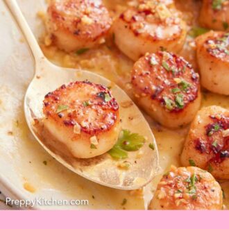 Pinterest graphic of a close up view of a spoon with a seared scallop in a plate of scallops.
