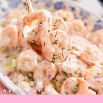 Pinterest graphic of a spoonful of shrimp salad lifted from a platter.