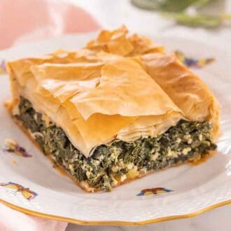A plate with a square piece of spanakopita.