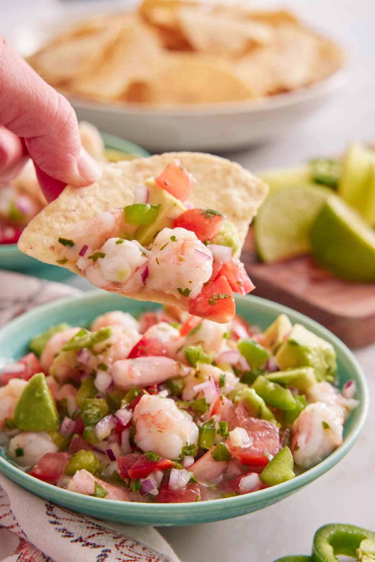 A tortilla chip lifting shrimp ceviche from a bowl.