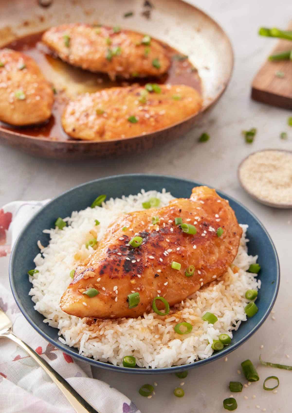 A bowl of rice with a honey garlic chicken breast on top with sesame seeds and green onions as garnish.