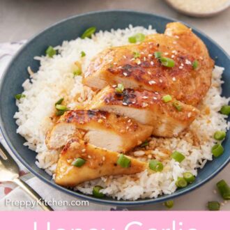 Pinterest graphic of a bowl of rice with sliced honey garlic chicken on top with green onion garnish.