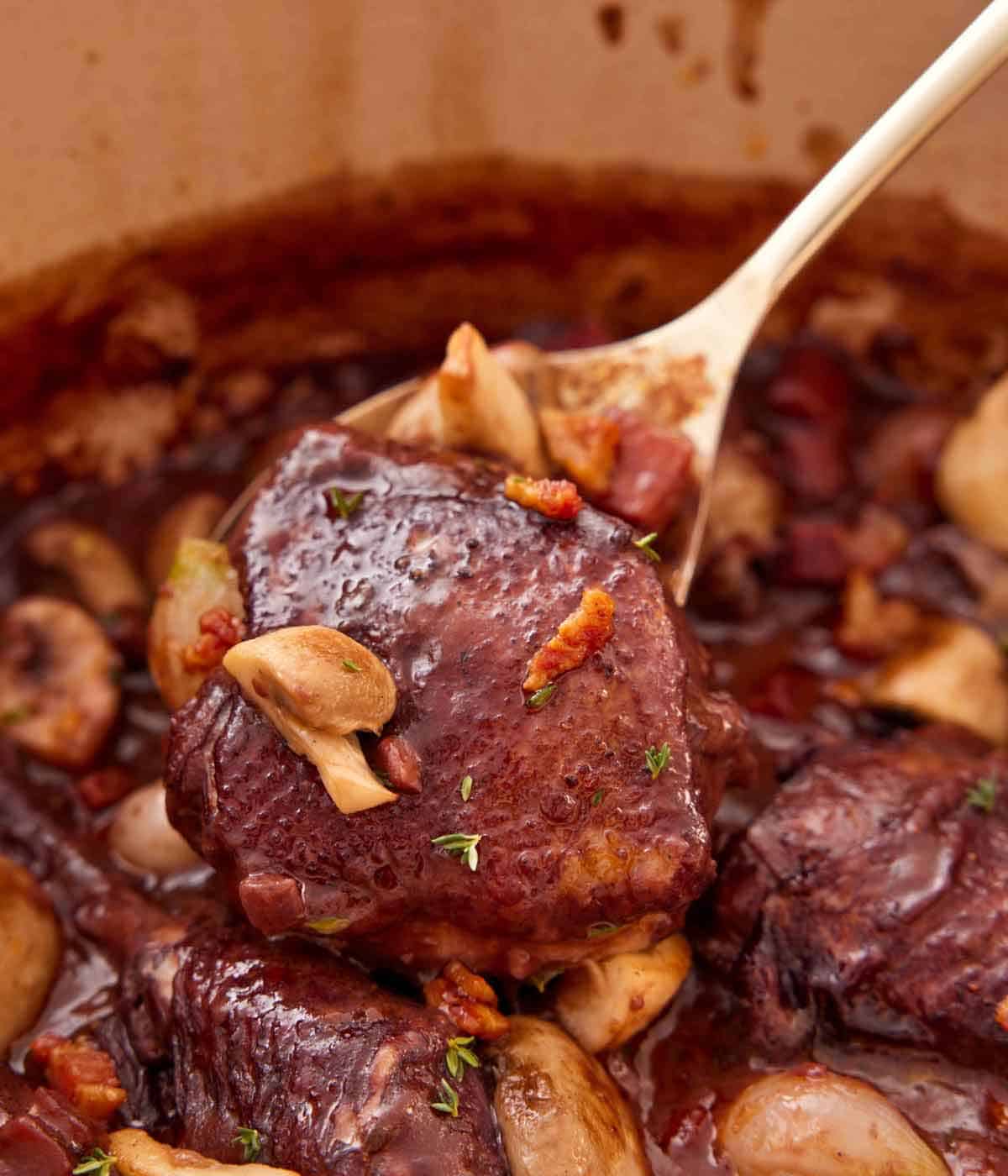 A spoonful of coq au vin lifted from a pot.