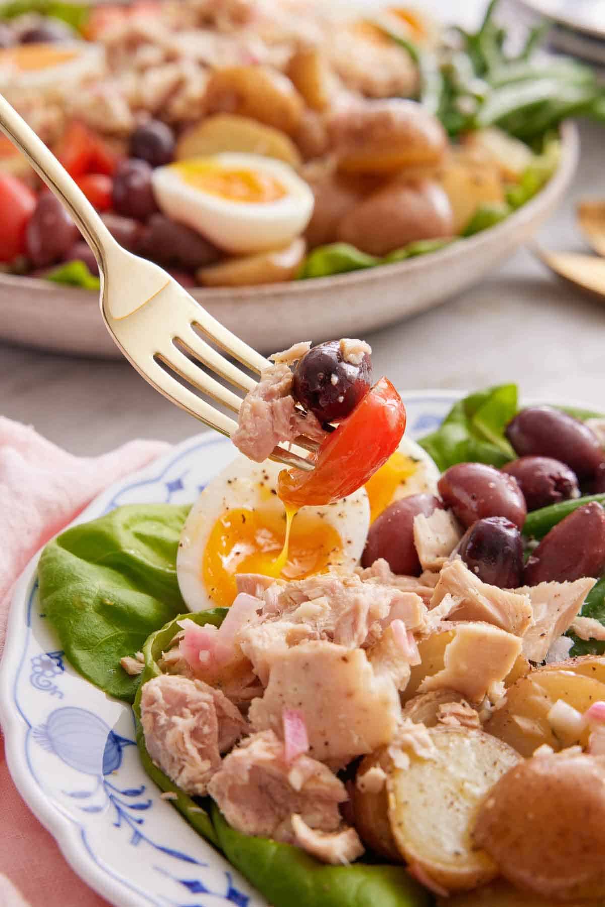 A forkful of niçoise salad lifted from a serving plate.