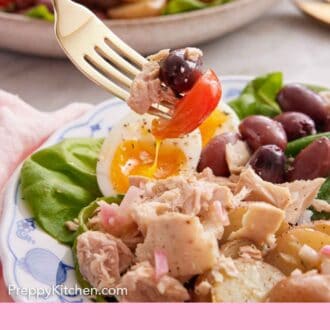Pinterest graphic of a forkful of niçoise salad lifted from a serving plate.