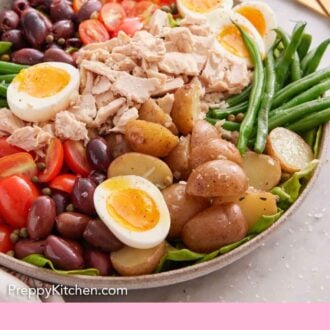 Pinterest graphic of an almost profile view of platter of niçoise salad.