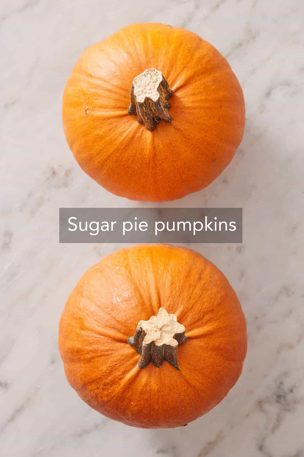 Ingredients needed to make pumpkin puree.