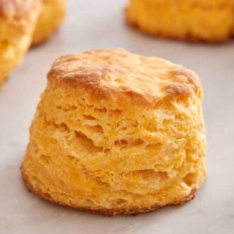 A sweet potato biscuit on a counter with additional biscuits around it out of focus.