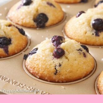 Pinterest graphic of blueberry muffins in a muffin tin.