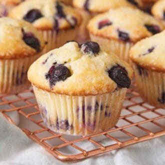 A cooling rack with multiple blueberry muffins on top.