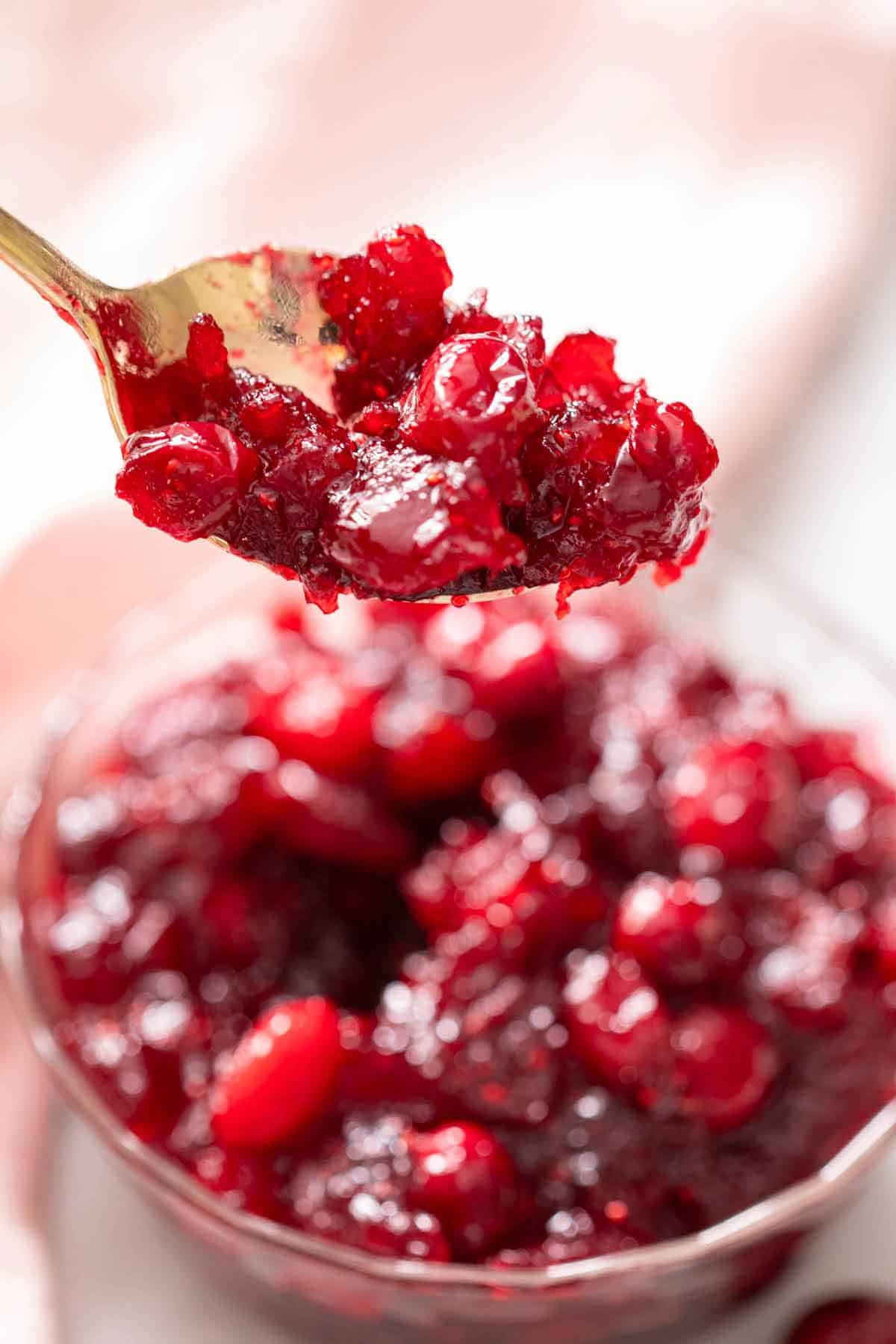 A spoonful of cranberry sauce lifted from a bowl.