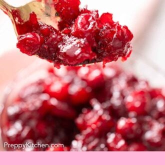 Pinterest graphic of a spoonful of cranberry sauce lifted from a bowl.