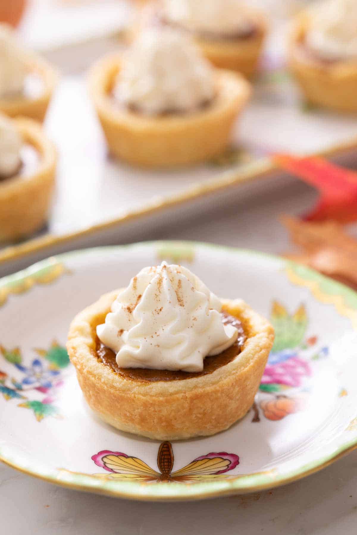 A plate with a mini pumpkin pie topped with whipped cream. More pies out of focus in the background.