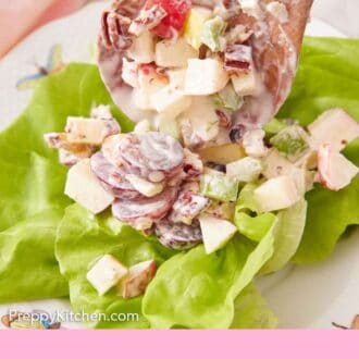 Pinterest graphic of a spoonful of Waldorf salad added over lettuce leaves.