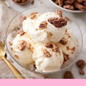 Pinterest graphic of ice cream topped with candied pecans with a bowl of more pecans in the background.