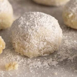 Multiple Russian tea cakes with one in the middle.