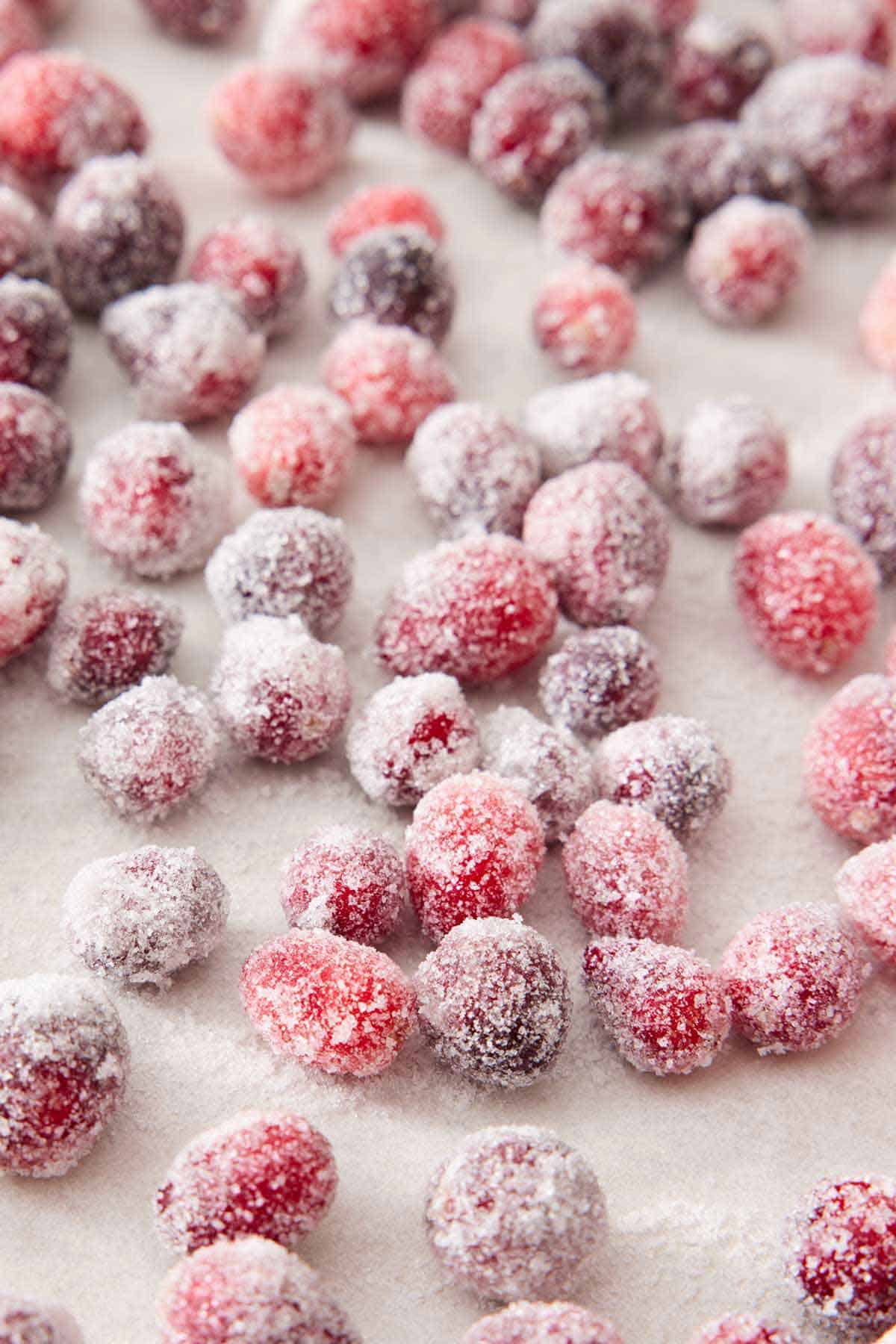 Multiple sugared cranberries on a lined sheet pan.