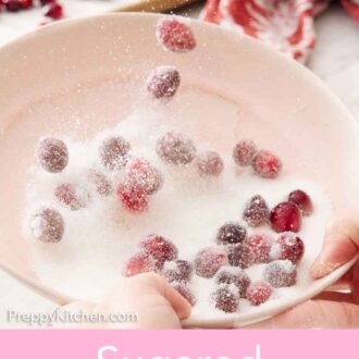 Pinterest graphic of sugared cranberries tossed in a bowl of sugar.