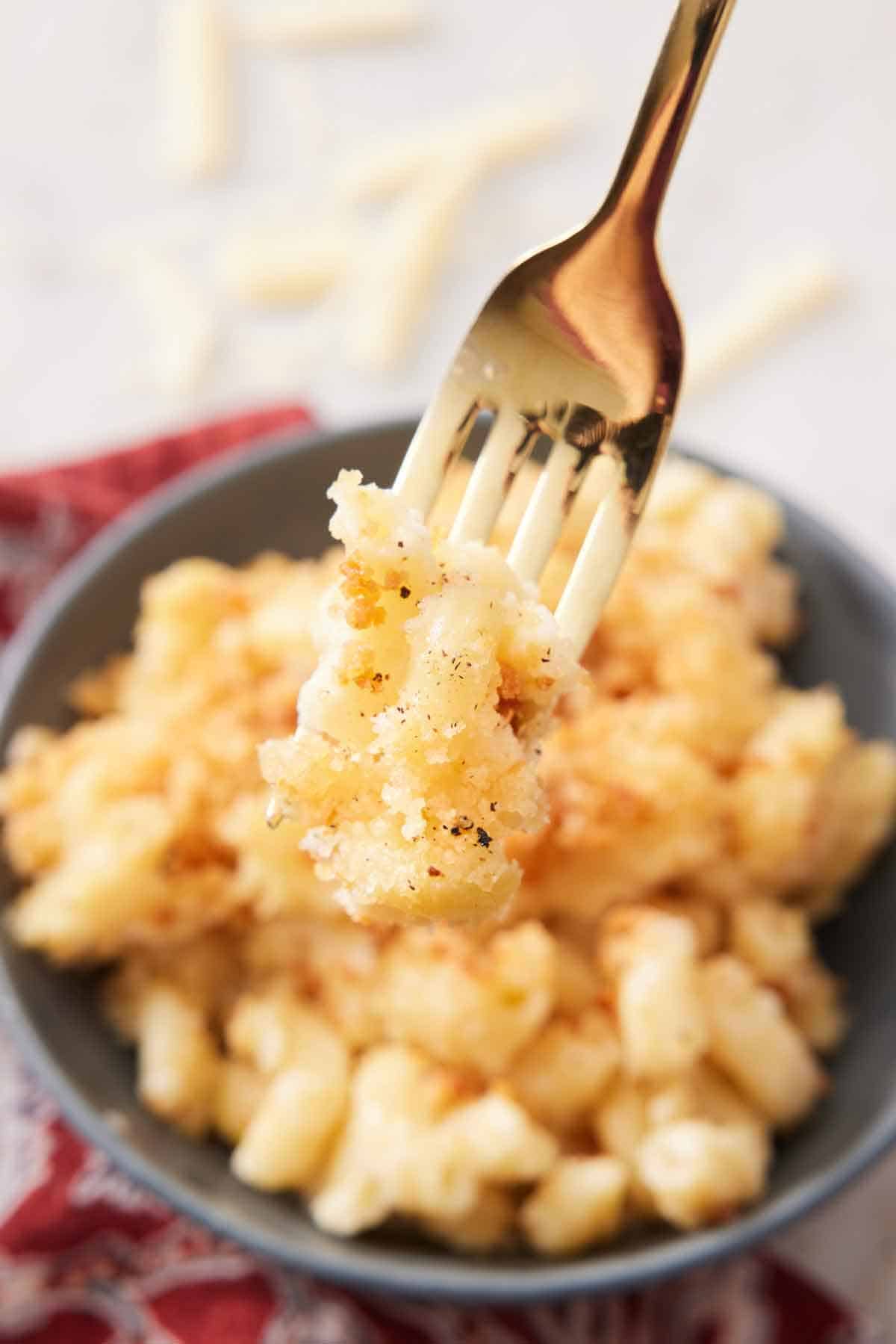 A forkful of truffle mac and cheese lifted from a bowl.