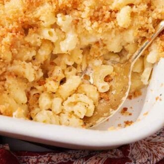 An overhead view of a baking dish of truffle mac and cheese with a spoon scooped into the mac and cheese.