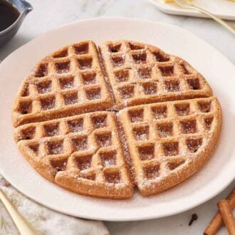 A plate with a large gingerbread waffle with powdered sugar dusted on top.