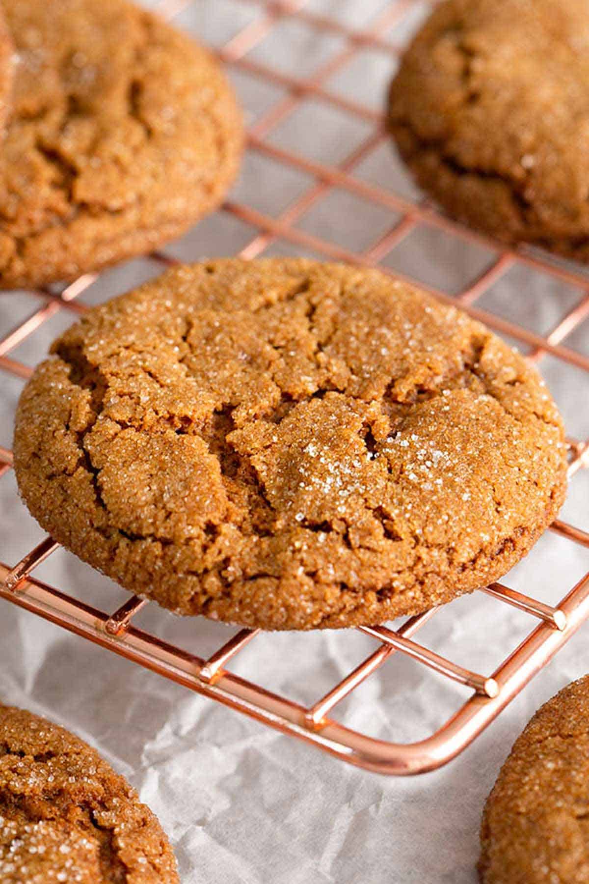 A close up of one molasses cookie on a cooling rack with more around it.