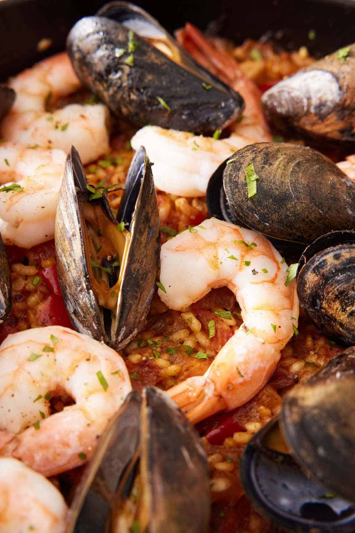 A close up view of paella in a skillet, highlighting the shrimp and mussels.
