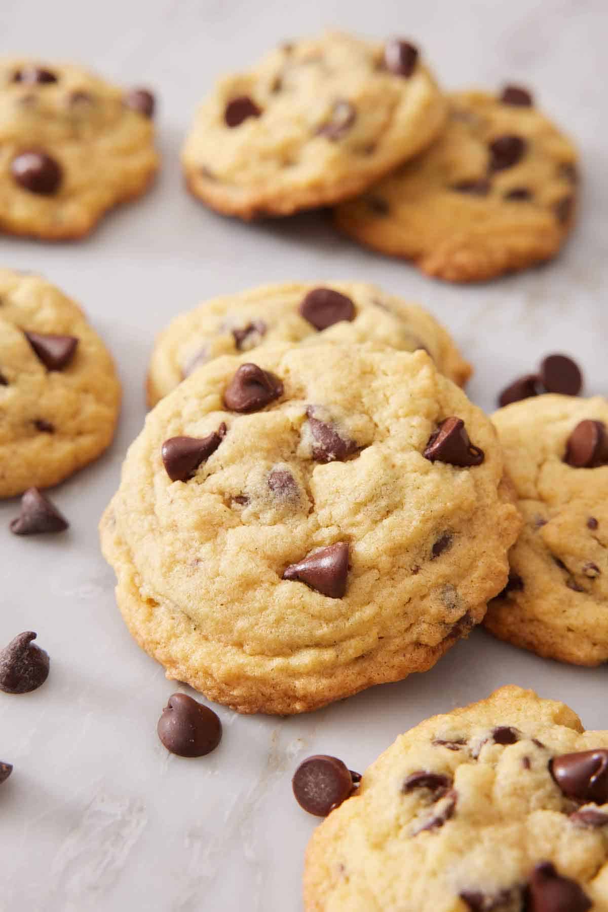 Multiple pudding cookies with chocolate chips scattered around.