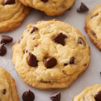A single layer of pudding cookies with chocolate chips scattered around the cookies.