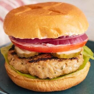 A plate with a chicken burger topped with pickles, tomato, and red onions.