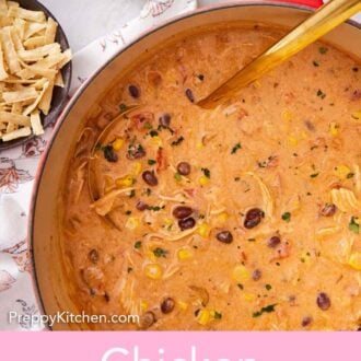 Pinterest graphic of a pot of enchilada soup with a ladle inside.