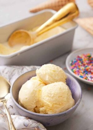 A bowl with a few couples of vanilla ice cream. More ice cream in the background with a scoop and a bowl of sprinkles on the side.
